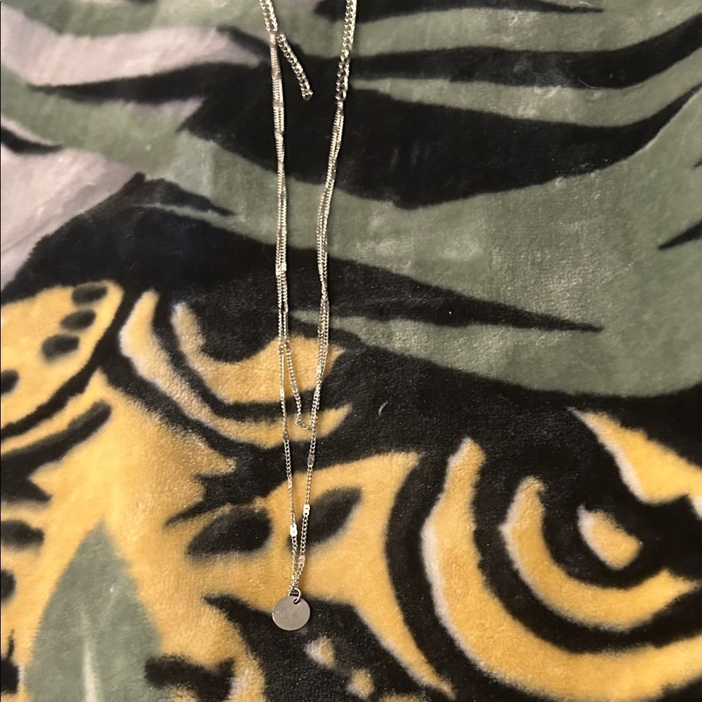 Elegant Silver Necklace
